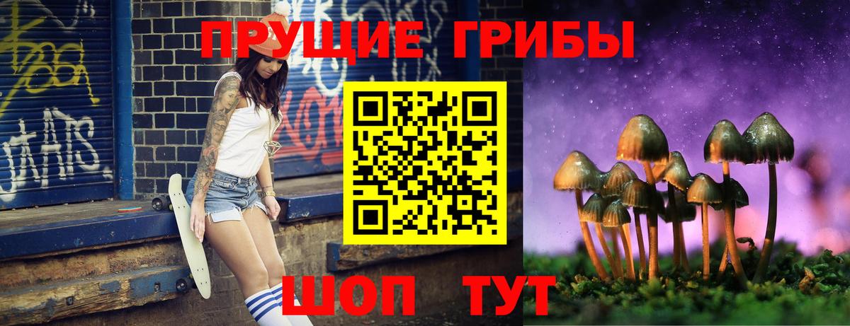 наркотики  Галлюциногенные грибы GOLDEN TEACHER  Вход с VPN  Елец 